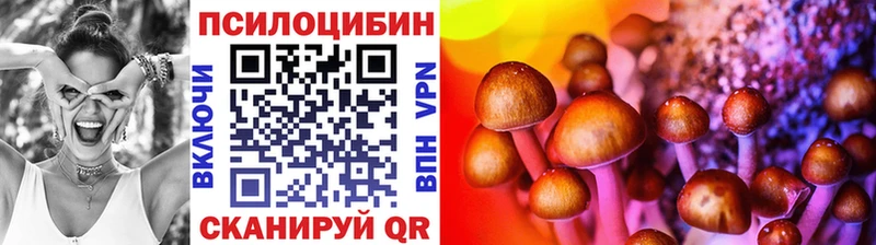 Псилоцибиновые грибы прущие грибы  Купить  Отрадный 